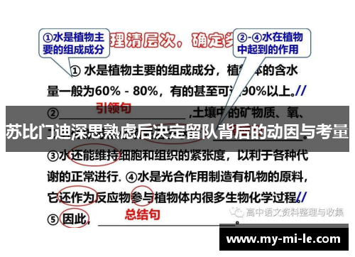 苏比门迪深思熟虑后决定留队背后的动因与考量