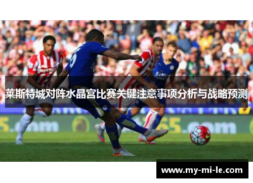 莱斯特城对阵水晶宫比赛关键注意事项分析与战略预测