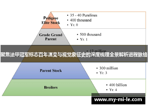 聚焦法甲冠军标志百年演变与视觉象征史的深度梳理全景解析进程脉络