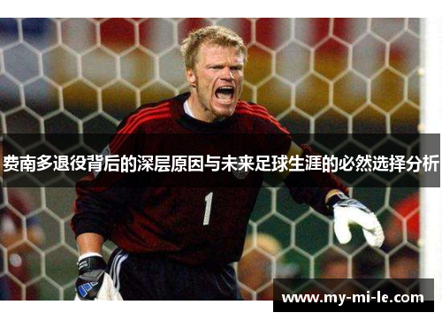 费南多退役背后的深层原因与未来足球生涯的必然选择分析