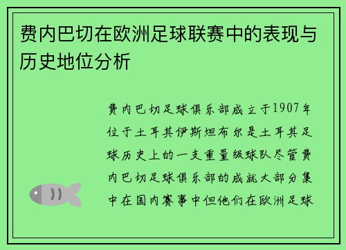 费内巴切在欧洲足球联赛中的表现与历史地位分析