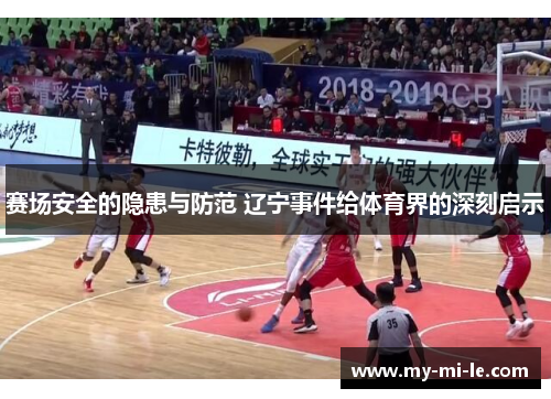 赛场安全的隐患与防范 辽宁事件给体育界的深刻启示
