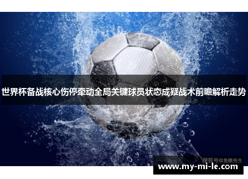 世界杯备战核心伤停牵动全局关键球员状态成疑战术前瞻解析走势